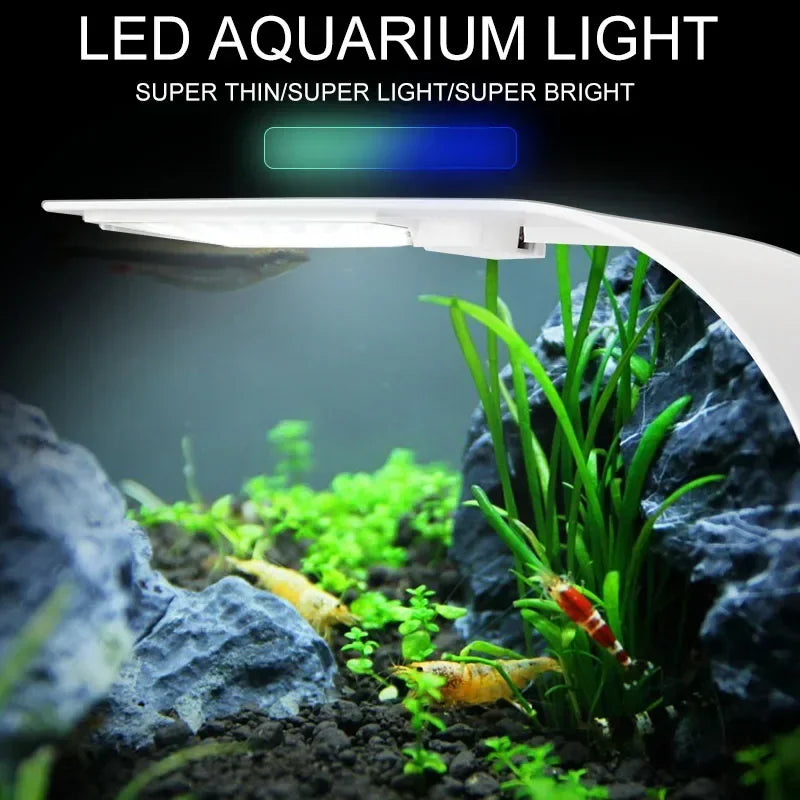 Luz LED Super Slim para Aquários – Iluminação Eficiente para Plantas Aquáticas 5W/10W/15W